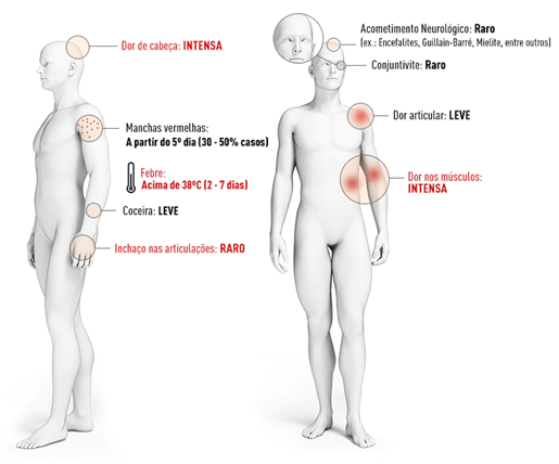 perguntas frequentes